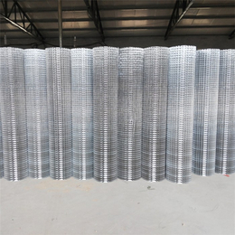 抹墙钢丝网|东川丝网|抹墙钢丝网生产厂家