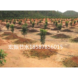 滴灌灌溉设备,钦州灌溉,南宁宏振灌溉公司