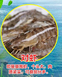 白对虾-鑫渔圣生态-南*对虾养殖场地选择