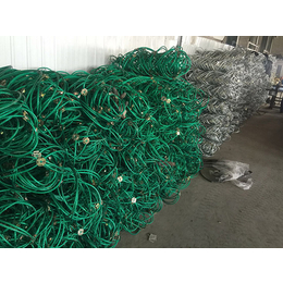 边坡防护网安装(图)|钢丝绳防护网工厂|雅安钢丝绳防护网