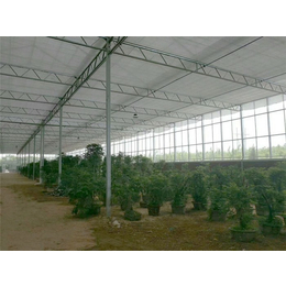 新疆蔬菜温室|青州瀚洋农业|蔬菜安装