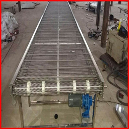 不锈钢链网输送机生产商-不锈钢链网输送机-力能机械****品质