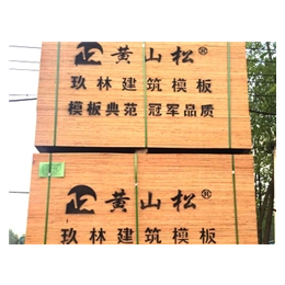 建筑模板生产-浙江建筑模板-六安市叶集区玖林木业(查看)