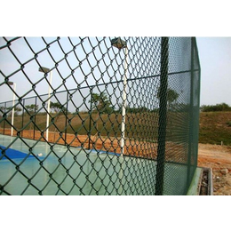 球场PE包塑围网、PE包塑围网、强森体育厂家定制