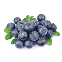 薄雾蓝莓苗价格-张家界薄雾蓝莓苗-柏源农业