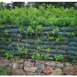 生态袋护坡价格,鑫宇土工材料(在线咨询),生态袋护坡