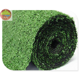 便宜的2.5厘米人造草坪地毯 环保绿化草坪网 塑料假草坪厂家