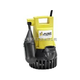 JUNG泵11-120798