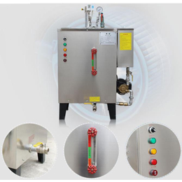  全自动12KW电加热蒸汽发生器节能环保