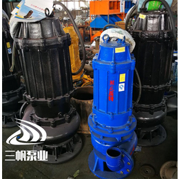 铸铁污水潜水泵价格-三帆泵业-乌兰察布铸铁污水潜水泵