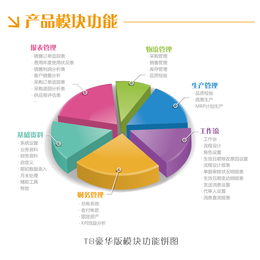 中山市天思erp软件 分销管理一体化系统