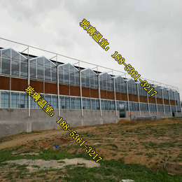 玻璃温室大棚的保温效果|阿里地区玻璃温室|玻璃温室清工队