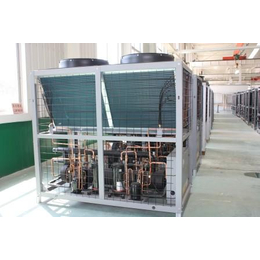 鄂州风冷模块-风冷模块热泵机组-瑞冬集团(推荐商家)