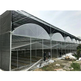 吉林玻璃温室工程-贵贵温室-玻璃板温室大棚工程