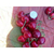 红南阳樱桃苗,亿通园艺(图),红南阳樱桃苗供应缩略图1