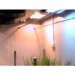 阳光型人工气候室 其实科技QS-qhs1425 人工气候室缩略图