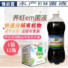  学会了用EM菌液养蛙轻松赚蛙钱