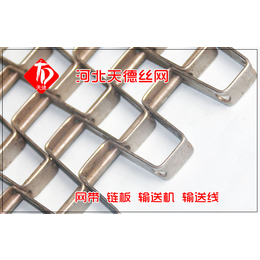 天德丝网-海南铸造设备输送链板链条式不锈钢网带