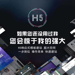 做网站的-新疆软件开发-新疆乌鲁木齐做网站