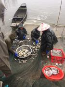 北京淡水鱼苗养殖场图片