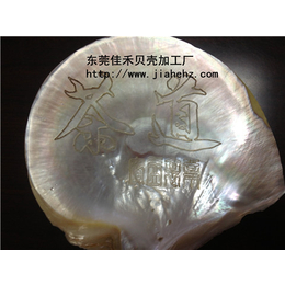 漳州贝壳|贝壳|佳禾贝壳表面(查看)