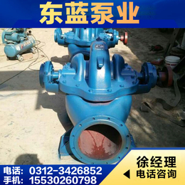 12sh13双吸泵、梅州双吸泵、东蓝泵业(查看)