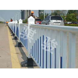 人行道护栏理论重量-骐骏围栏(在线咨询)-滨州人行道护栏