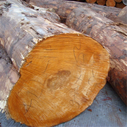 三明辐射松方木-友联木材加工厂-辐射松方木供应