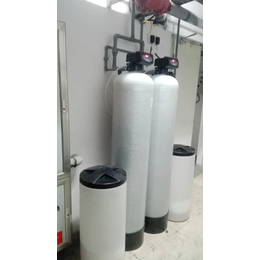 郑州厂家*2吨锅炉软化水设备 锅炉水处理 盐阀