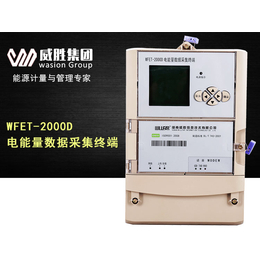 威胜WFET-2000D电能量采集终端 电量*抄表系统缩略图