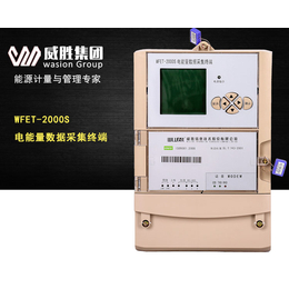 威胜WFET-2000S电能量采集终端 *2000s