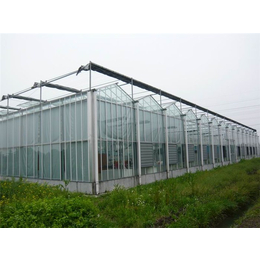 生态餐厅、青州瀚洋农业、玻璃生态餐厅建设