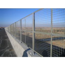 公路桥梁防护菱形pvc浸塑钢板网 防护网 框架护栏网