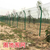 广西折弯护栏丨南宁绿色边框围栏丨建筑项目隔离围挡缩略图4