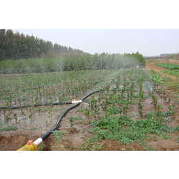 迪庆果园灌溉设备*|润成节水灌溉|迪庆果园灌溉设备