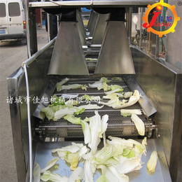 蔬菜风干机哪个牌子好-辽宁蔬菜风干机-诸城佳旭机械(查看)