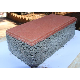 宣威新型透水砖销售-蜀通水泥制品(在线咨询)-宣威新型透水砖