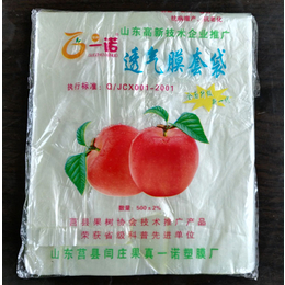 塑料苹果袋定做、果袋、莒县常兴果袋
