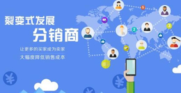 杭州二级分销微商城系统开发 浙江PC 手机端全部局