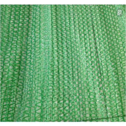 绿色盖土网图片-豪杰绳网(在线咨询)-郴州绿色盖土网