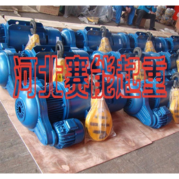 赛能起重(图)_1吨电动吊机工业电压_杭州1吨电动吊机