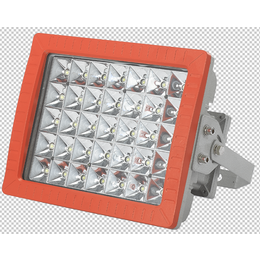BZD188-02系列免维护LED泛光灯发电厂用灯