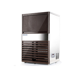 60公斤制冰机|餐秀网(在线咨询)|制冰机