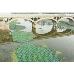 人工生态浮岛、大荆河聚格塑料制品厂(图)