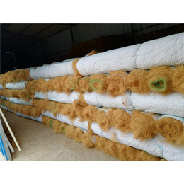 植生毯*-亳州植生毯-植生毯发芽率高(查看)