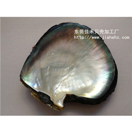 安庆贝壳-佳禾贝壳表面(在线咨询)-贝壳