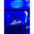 海洋展各种海水鱼出租呆萌企鹅海狮展览表演租赁缩略图2