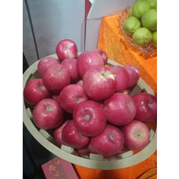 陕西洛川苹果礼盒、景盛果业、陕西洛川苹果