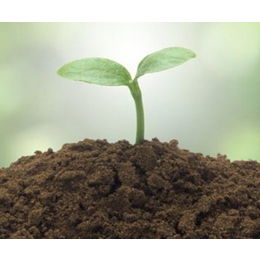 中环物研环境质量监测-土壤检测-土壤检测公司