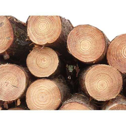 我国从世界各地进口木材的主要品种有哪些